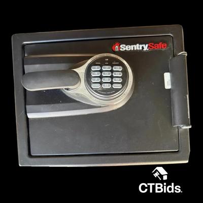 DS325 - Sentry Safe