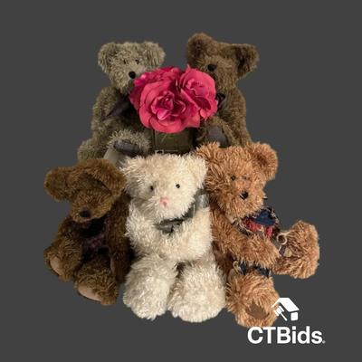 DS510 - Boyd‘S Bears Fuzzy Group