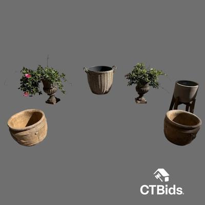 DS316 - Planters