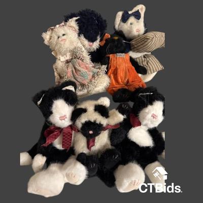 DS514 - Boyd’s Cat Group