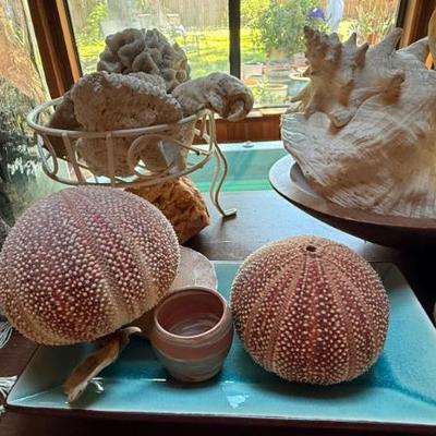 Sale Photo Thumbnail #580