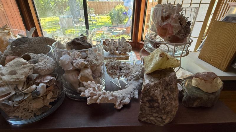 Sale Photo Thumbnail #582