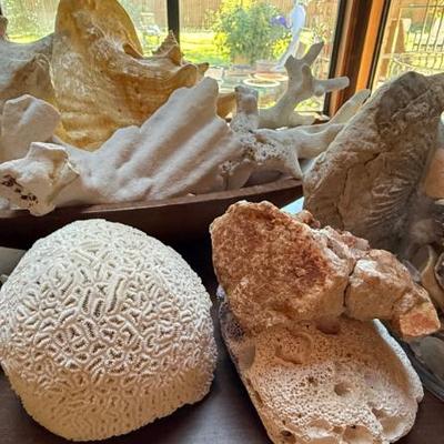 Sale Photo Thumbnail #581