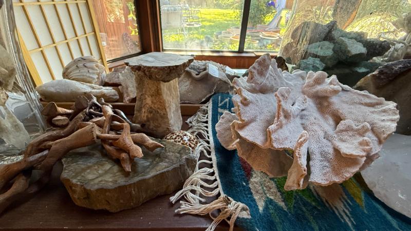 Sale Photo Thumbnail #583