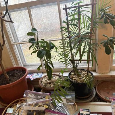 Sale Photo Thumbnail #143