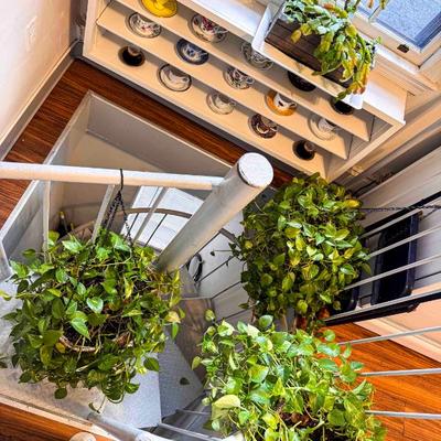 Sale Photo Thumbnail #20