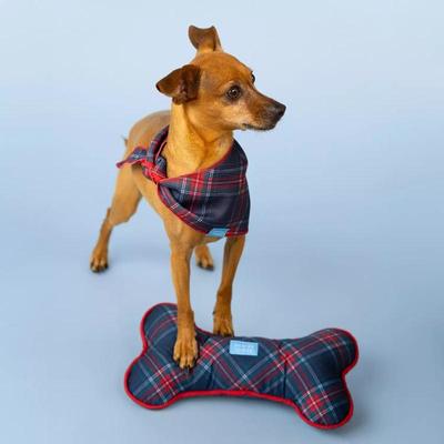 Sale Photo Thumbnail #196