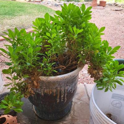 Sale Photo Thumbnail #75