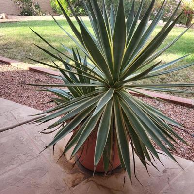 Sale Photo Thumbnail #76