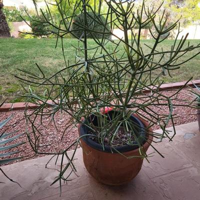 Sale Photo Thumbnail #80