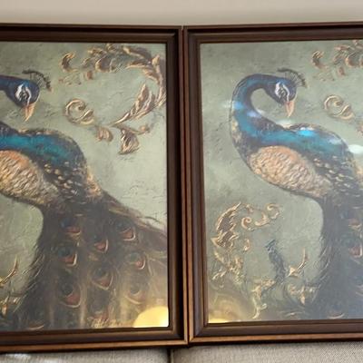 Peacock Prints