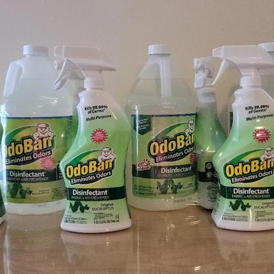 OdoBan Disinfectant 