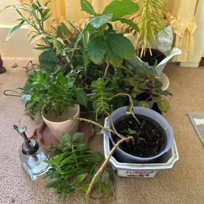 Sale Photo Thumbnail #207