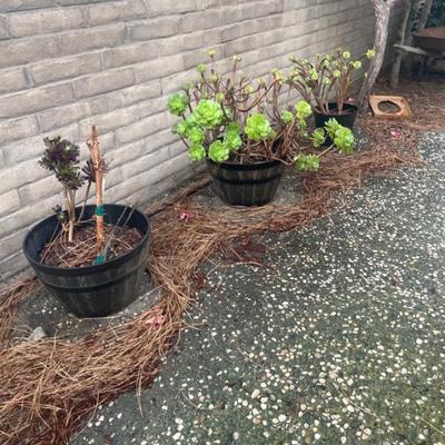 Sale Photo Thumbnail #56