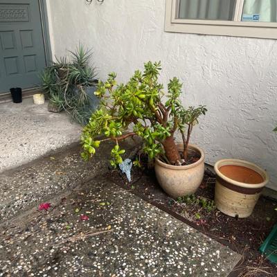 Sale Photo Thumbnail #41