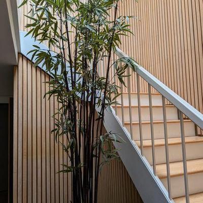 Sale Photo Thumbnail #71