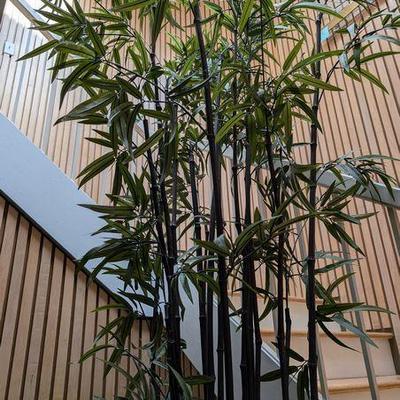 Sale Photo Thumbnail #74