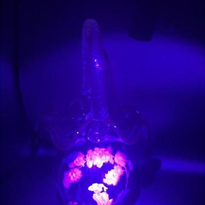 Sale Photo Thumbnail #824