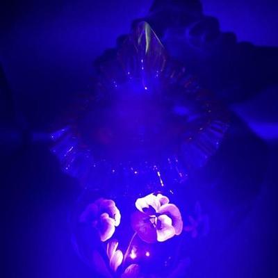 Sale Photo Thumbnail #999