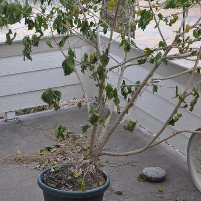 Sale Photo Thumbnail #91