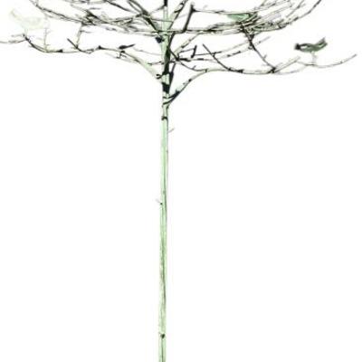 Sale Photo Thumbnail #341