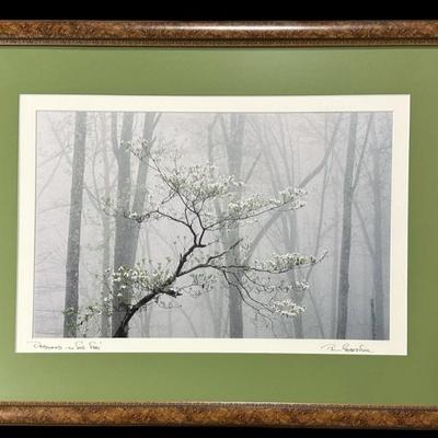 Sale Photo Thumbnail #246