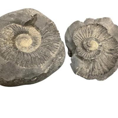 Sale Photo Thumbnail #276