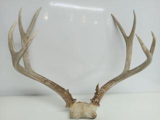 Sale Photo Thumbnail #5