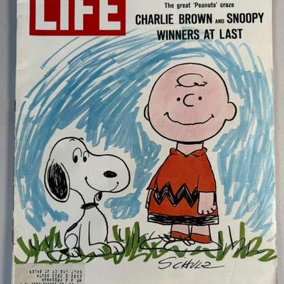 Sale Photo Thumbnail #8