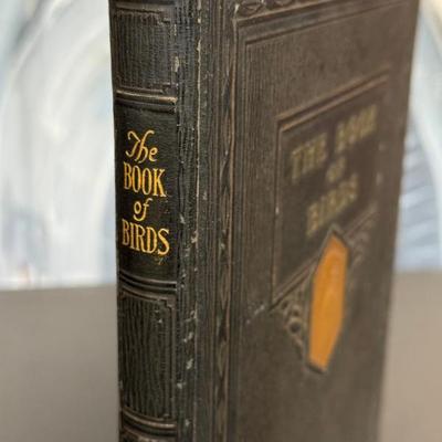 Sale Photo Thumbnail #30