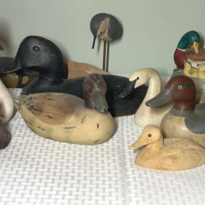 Ducks, Decoys, and Shore Birds 