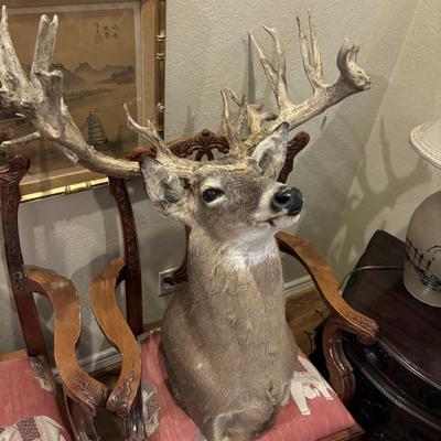 Sale Photo Thumbnail #85