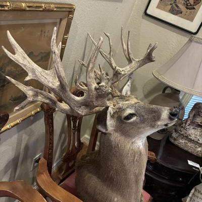 Sale Photo Thumbnail #88