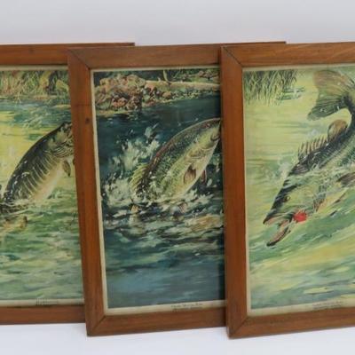 Sale Photo Thumbnail #585