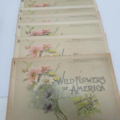 Sale Photo Thumbnail #756