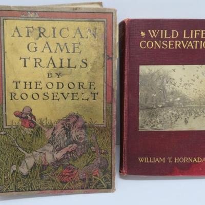 Sale Photo Thumbnail #805