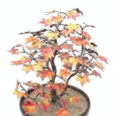 Sale Photo Thumbnail #49