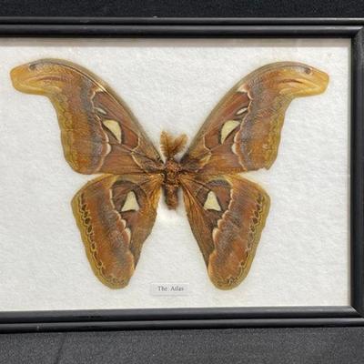 Sale Photo Thumbnail #32