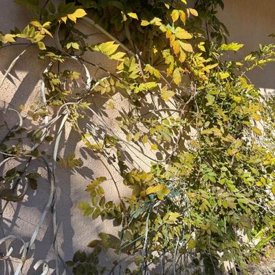 Sale Photo Thumbnail #488