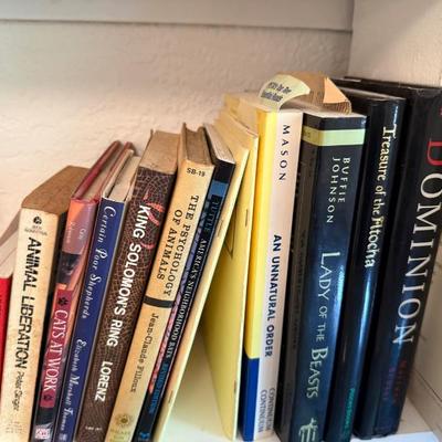 Sale Photo Thumbnail #94