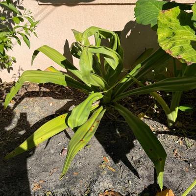 Sale Photo Thumbnail #489