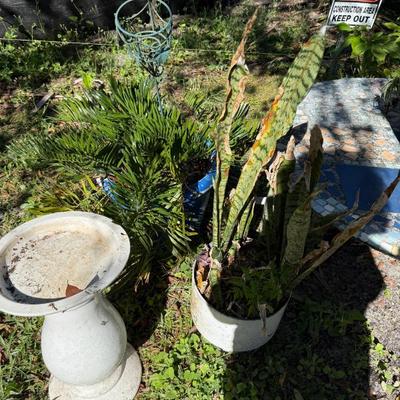 Sale Photo Thumbnail #518