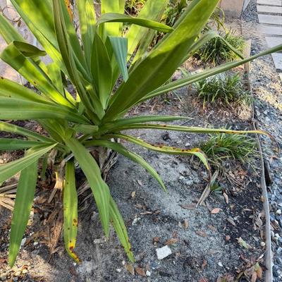 Sale Photo Thumbnail #432