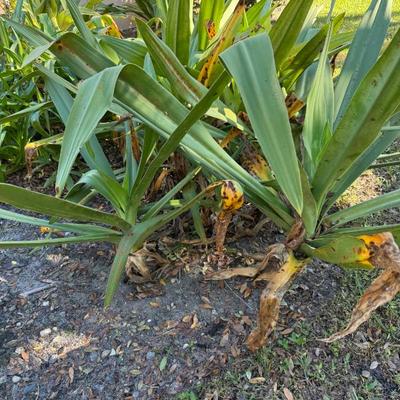 Sale Photo Thumbnail #534