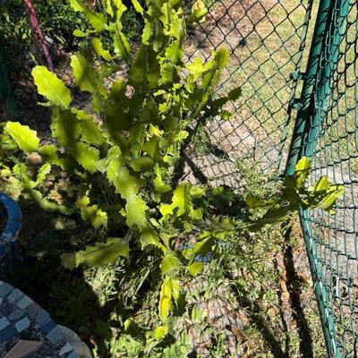 Sale Photo Thumbnail #516