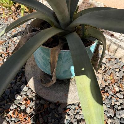 Sale Photo Thumbnail #499