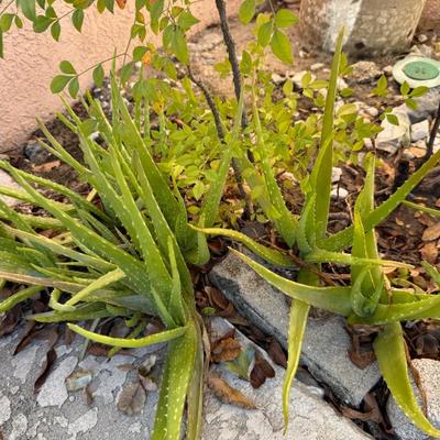 Sale Photo Thumbnail #430