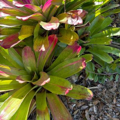 Sale Photo Thumbnail #437