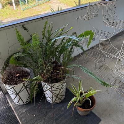 Sale Photo Thumbnail #519