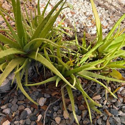 Sale Photo Thumbnail #431